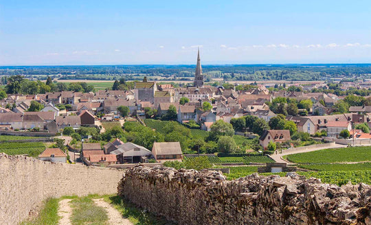 Landscape of Meursault village in Burgundy
