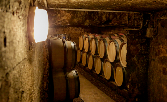 Rows of barrels in dark cellar room with one bright light on the left in Domaine Marc Roy