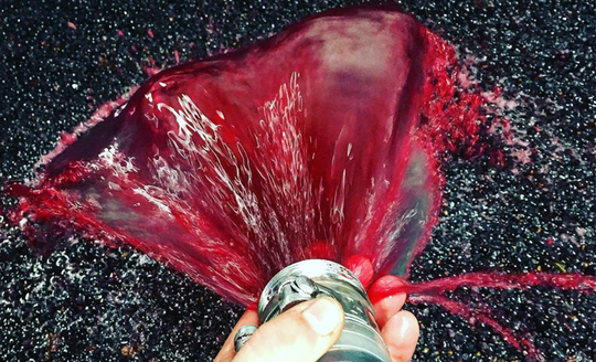 Splash of grape juice into a large vat full of red wine grapes at Domaine Confuron-Gindre
