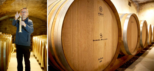 Samuel Billaud testing wine and row of barrels