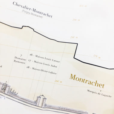Montrachet vineyard map