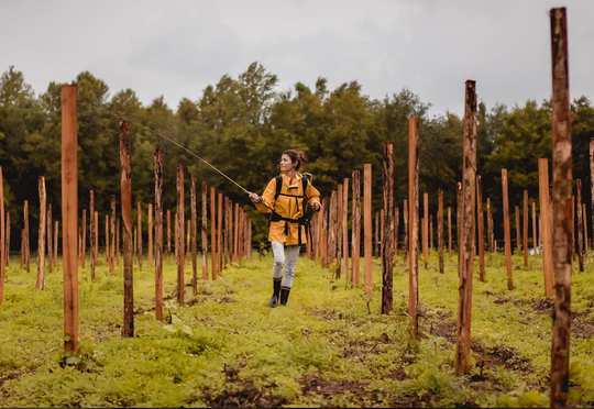 Anne Buiatti spraying the soils around her vines with a yellow rain jacket on