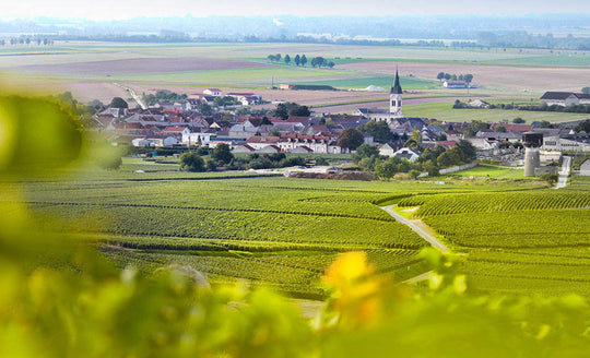 Landscape of small village within the Champagne region