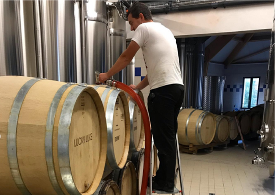 Man pumping wine into barrels in Champagne Freres Mignon