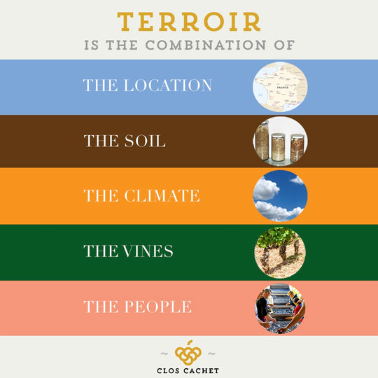 Terroir definition