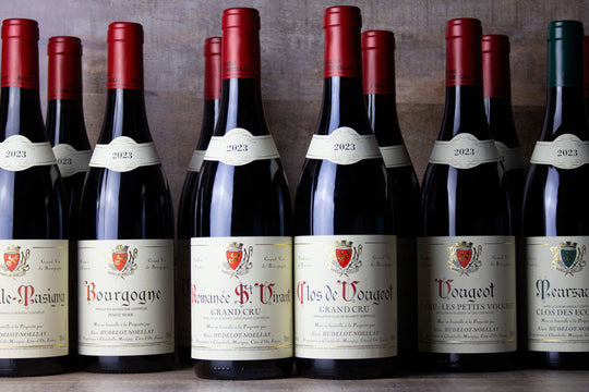 Hudelot-Noellat & Charles Van Canneyt | 2023 Release