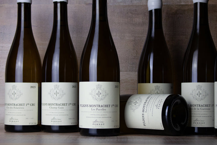 Alvina Pernot 2023 Release | Precise & Characterful