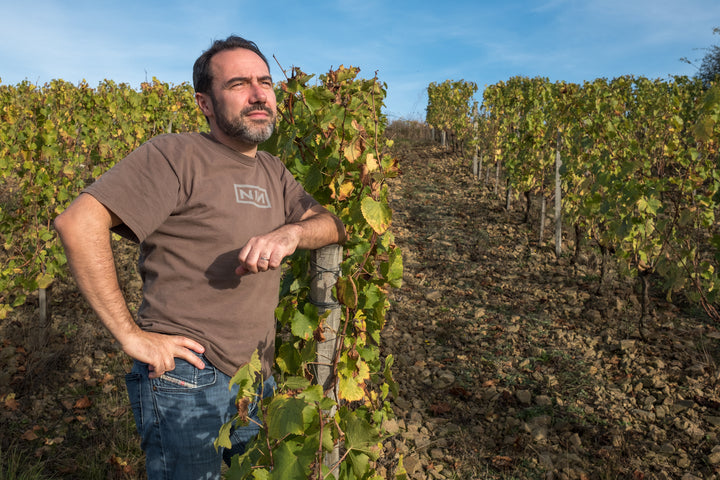 Domaine Belargus | A Wine Lover's Dream Come True