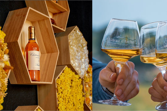 Chateau d'Arche | Sauternes' Sweet Nectar