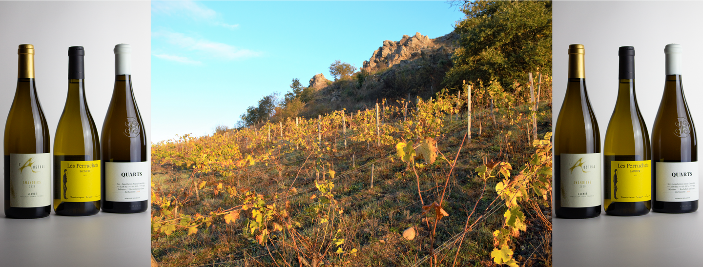 Chenin Blanc