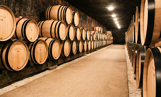 Barrel aging room in Hudelot-Noellat winery