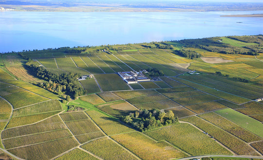 High angle landscape shot of Bordeaux with a vast amount of vineyards segmented around
