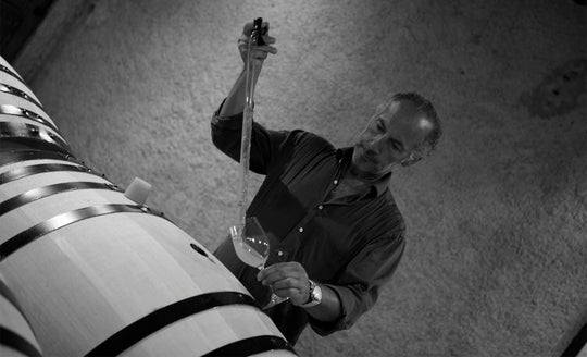 Henri Boillot sampling wine from the barrel and pipetting it into a glass