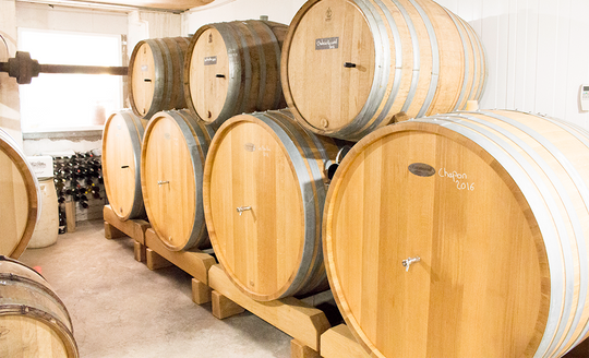 Large barrels stacked up in a bright room in Domaine de Saint Pierre