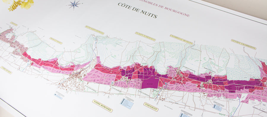 Map of the Cote de Nuits