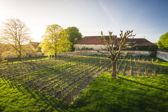 Champagne Pierre Paillard Wines