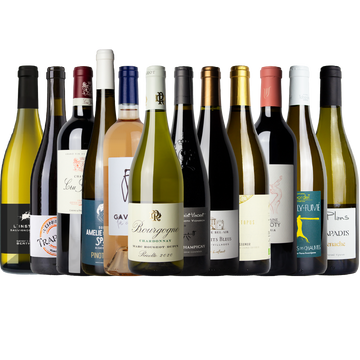 Discovery Pack - Mixed