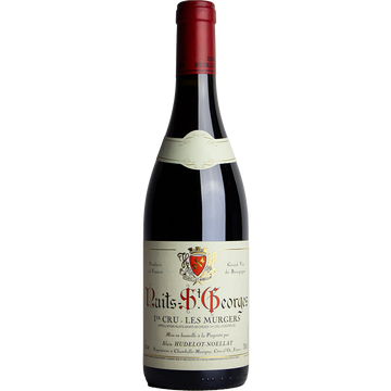 Domaine Hudelot-Noellat - Nuits-St-Georges 1er Cru 