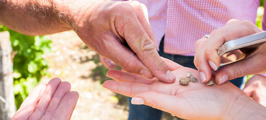 Hand full of stones and soils while other person points out the different types