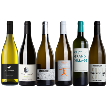 Sauvignon Blanc Wine Pack