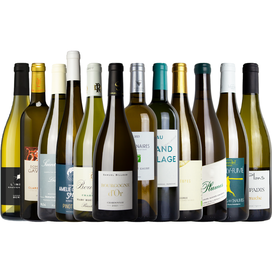 Discovery Pack - White