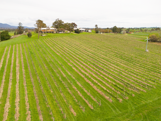 Yarra Valley Wines